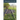 Prairie Fever