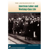 The Archaeology of American Labor and Working-Class Life