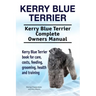 Kerry Blue Terrier. Kerry Blue Terrier Complete Owners Manual. Kerry Blue Terrier book for care, costs, feeding, grooming, health and training.