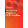 Frontiers and Progress in Multiphase Flow I