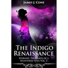 The Indigo Renaissance (Sporadic Thoughts of a Splintered Soul vol. 2)