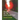 Murder On The Silver Comet Trail