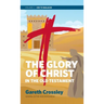 The Glory of Christ in the Old Testament: Volume 2: Job to Malachi