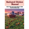 Backyard Chicken Manual: How To Take Care Of Your Chickens & Build Your Own Chicken Coop: Benefits Of Raising Chickens In Your Backyard