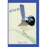 Wren