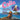 Celia The Singing Sea Lion