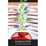 Auscultate