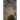 In The Shadow of Rainbows