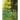 The Discontent of Brother Turnip and Grandfather Tree