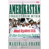 Amerikastan: Conquest from Within