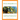 FTCE: English 6-12 A Complete Content Review for the Florida 6-12 English Teacher Certification Exam