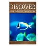 Life Deep In Ocean - Discover: Early reader's wildlife photography book