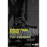 Industrial Ruins: Space, Aesthetics and Materiality