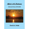 Afloat in the Continuum