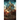 The Star Clock Chronicles