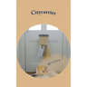 Citycarrier