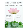 The Little Book of Mindfulness