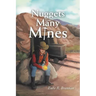 Nuggets from Many Mines