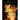 Burned Alive a True Story