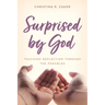 Surprised by God: Teaching Reflection through the Parables