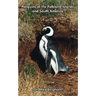 Penguins of the Falkland Islands and South America