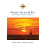 Where Pelicans Fly: High Seas Saga of Loyalty, Love, and Treasure