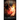 The Grimoire of Amaymon