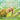 Classifying Animals into Vertebrates and Invertebrates - Animal Book for 8 Year Olds Children's Animal Books