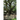 Wishing Tree