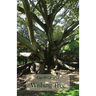 Wishing Tree