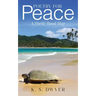 Poetry for Peace: A Poetic Road Map