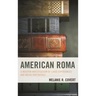 American Roma: A Modern Investigation of Lived Experiences and Media Portrayals