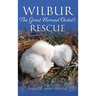 Wilbur: The Great Horned Owlet's Rescue
