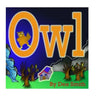 Owl: A Rhyming Picture Book for Children about an Owl in the Autumn Night.