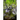 Telling Tree