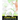 Yoga Cats Coloring Book For Kids: Kittens Colouring Book for kids, Cats Doing Yoga Poses For Colouring, Grate Gift for Cat Lovers