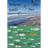 Where the Gulls Are: Fishing with Joe