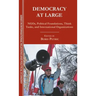Democracy at Large: NGOs, Political Foundations, Think Tanks and International Organizations