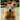 My First Quokka Book: An Animal Book for Young Children