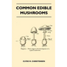 Common Edible Mushrooms