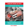 Fiddler Crabs as Pets: A Fiddler Crab Care Guide