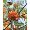 Encounters with Australian Birds: Finding Inspirations from Australia's Amazing Birdlife