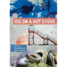 Ice on a Hot Stove:: A Decade of Converse MFA Poetry