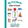 My First Words A - Z English to Punjabi: Bilingual Learning Made Fun and Easy with Words and Pictures