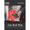 Low Back Pain: Mechanism, Diagnosis and Management