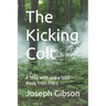 The Kicking Colt: A Step with and a Step Away from Plato