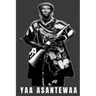Yaa Asantewaa: Yaa Asantewaa Ashanti Warrior Queen Mother