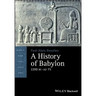A History of Babylon, 2200 BC - Ad 75
