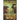 An Equation with One Unknown (Invasion Book #2): LitRPG Series