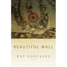 Beautiful Wall